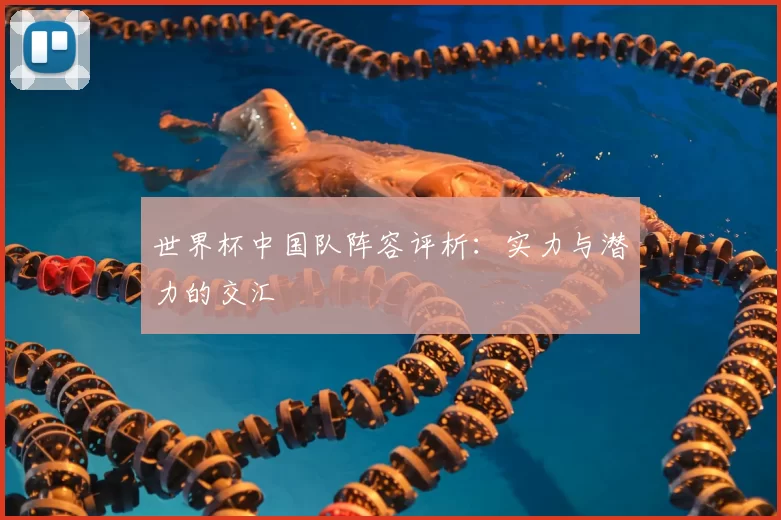 世界杯中国队阵容评析:实力与潜力的交汇