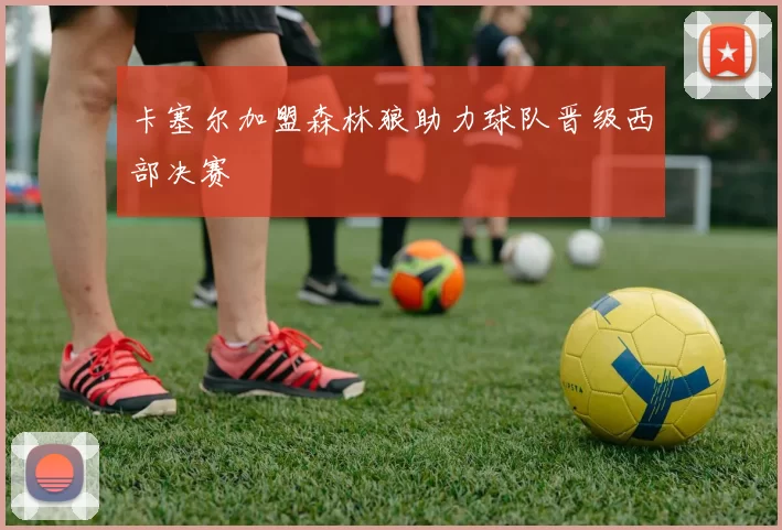 卡塞尔加盟森林狼助力球队晋级西部决赛