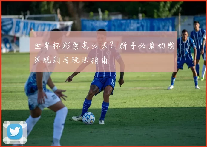 世界杯彩票怎么买?新手必看的购买规则与玩法指南