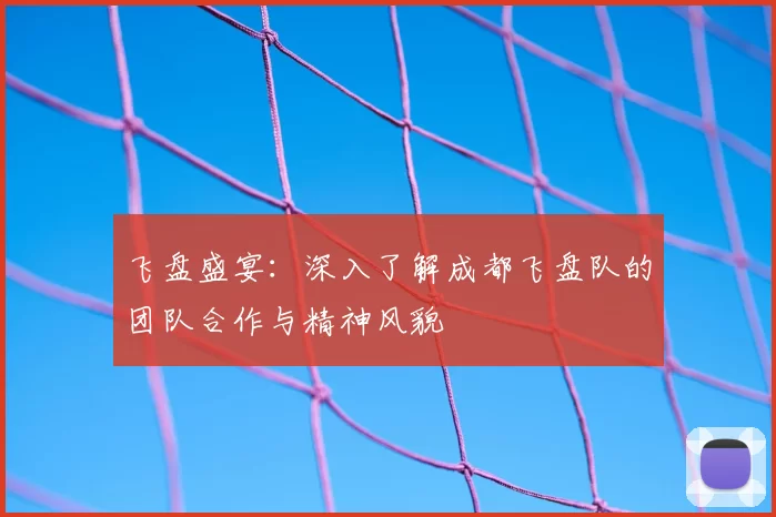 飞盘盛宴:深入了解成都飞盘队的团队合作与精神风貌
