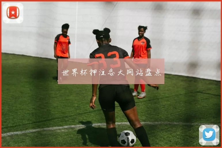 世界杯押注各大网站盘点