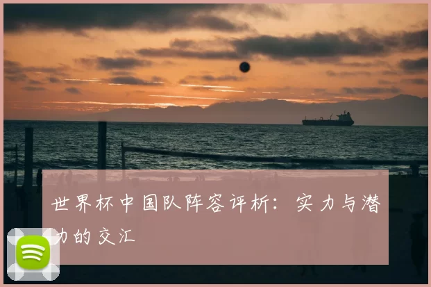 世界杯中国队阵容评析：实力与潜力的交汇