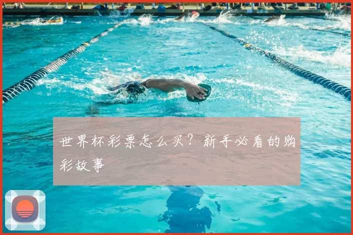 世界杯彩票怎么买?新手必看的购彩故事