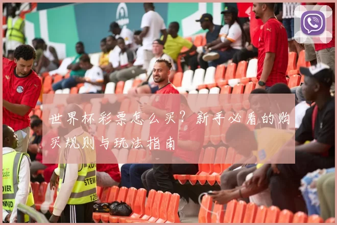 世界杯彩票怎么买？新手必看的购买规则与玩法指南