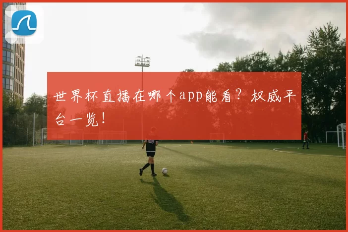 世界杯直播在哪个app能看？权威平台一览！
