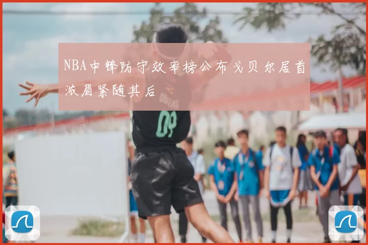 NBA中锋防守效率榜公布戈贝尔居首浓眉紧随其后