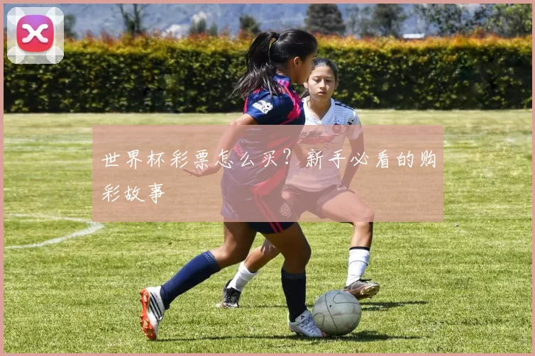 世界杯彩票怎么买?新手必看的购彩故事