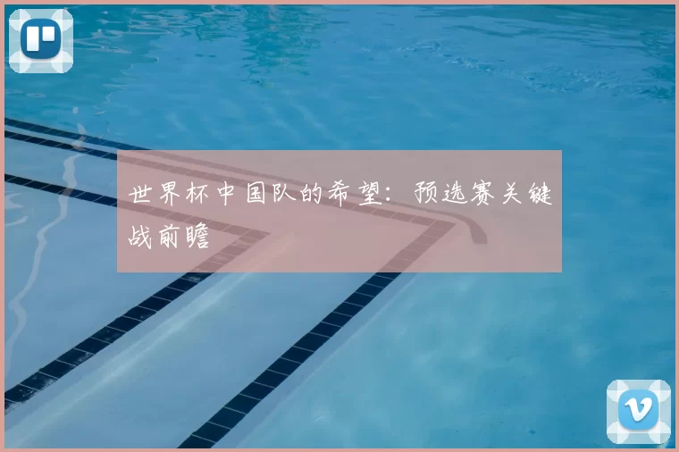 世界杯中国队的希望:预选赛关键战前瞻