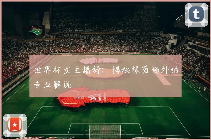 世界杯女主播舒:揭秘绿茵场外的专业解说