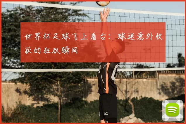 世界杯足球飞上看台：球迷意外收获的狂欢瞬间