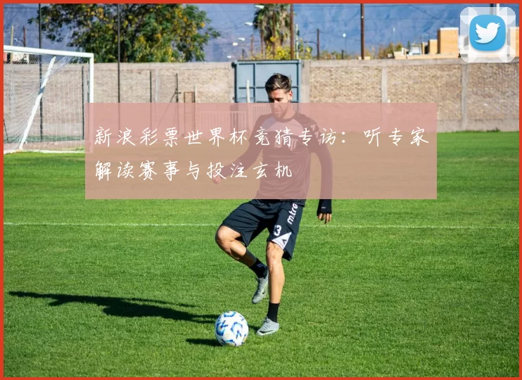 新浪彩票世界杯竞猜专访：听专家解读赛事与投注玄机