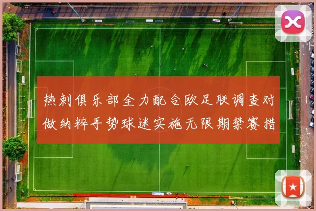 热刺俱乐部全力配合欧足联调查对做纳粹手势球迷实施无限期禁赛措施