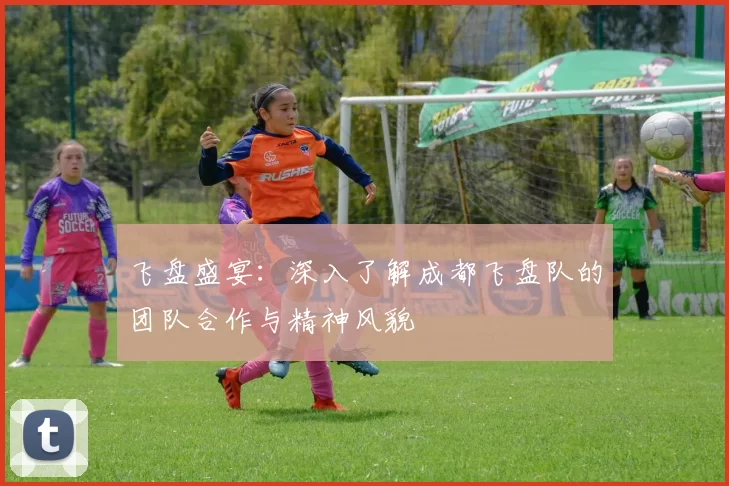 飞盘盛宴:深入了解成都飞盘队的团队合作与精神风貌
