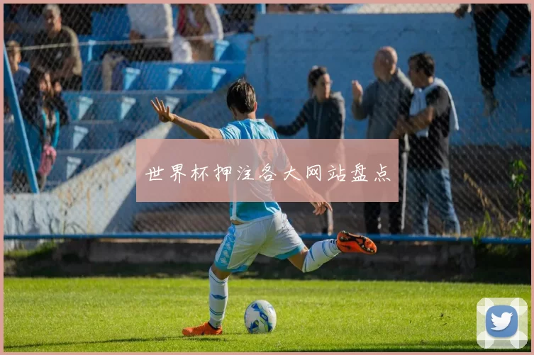 世界杯押注各大网站盘点