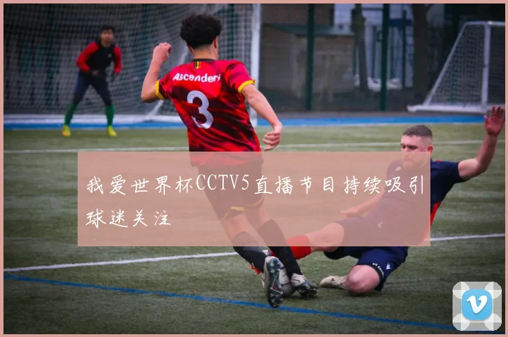 我爱世界杯CCTV5直播节目持续吸引球迷关注