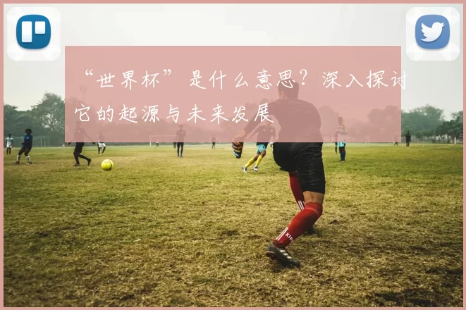 “世界杯”是什么意思?深入探讨它的起源与未来发展