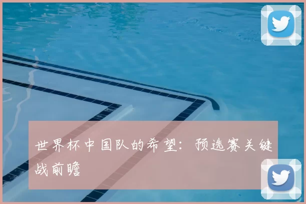 世界杯中国队的希望:预选赛关键战前瞻