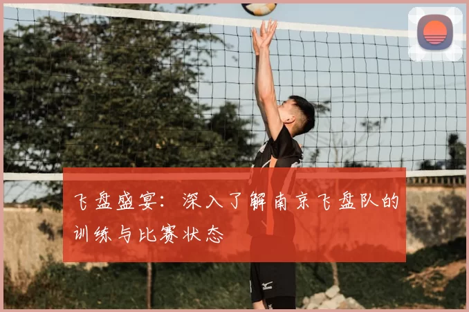 飞盘盛宴:深入了解南京飞盘队的训练与比赛状态