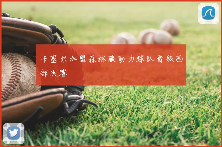 卡塞尔加盟森林狼助力球队晋级西部决赛